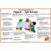 Te Whaariki Learning Objectives Set 2 #11 - 20 Te Whaariki Learning Objectives Set 2 #11 - 20