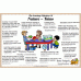 Te Whaariki Learning Objectives Set 2 #11 - 20 Te Whaariki Learning Objectives Set 2 #11 - 20