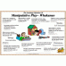 Te Whaariki Learning Objectives Set 2 #11 - 20 Te Whaariki Learning Objectives Set 2 #11 - 20